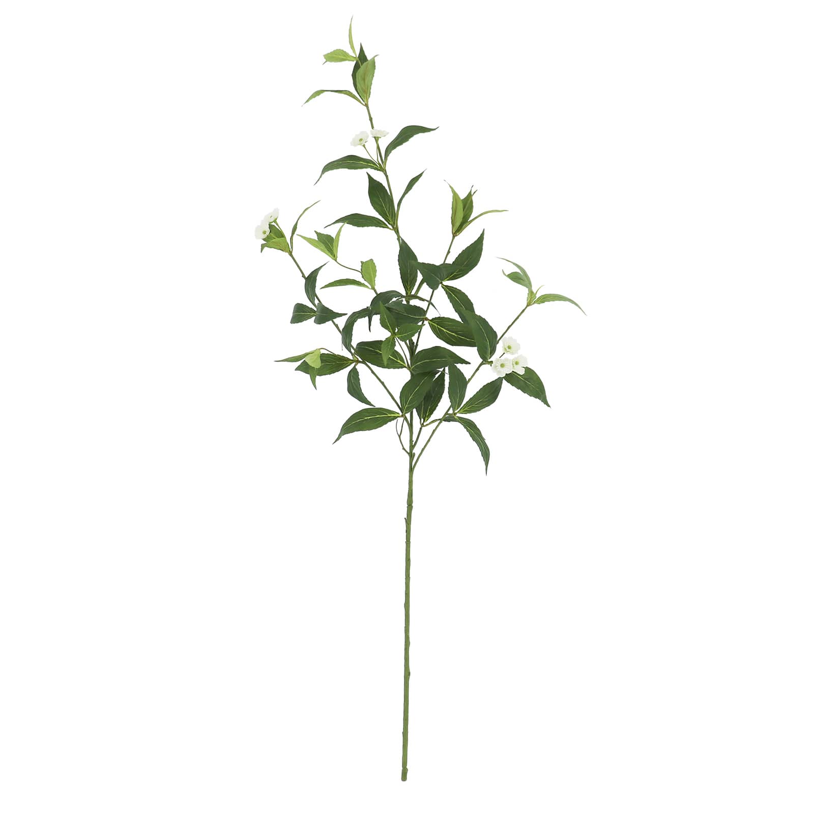 25" Balsam Leaf Stem by Ashland®